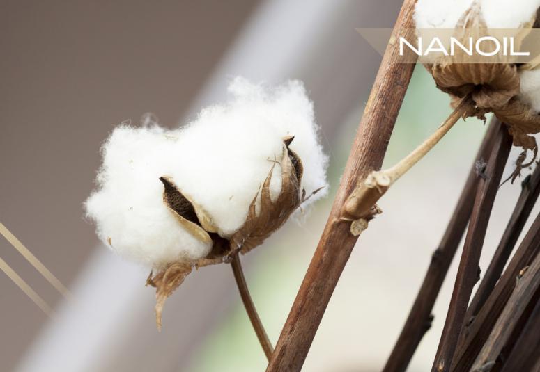 Olio di Semi di Cotone per i Capelli: Riparazione Completa